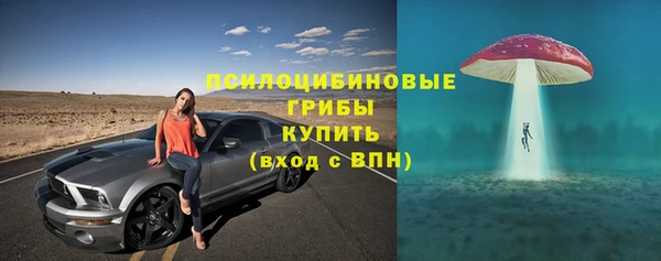 СК Абдулино